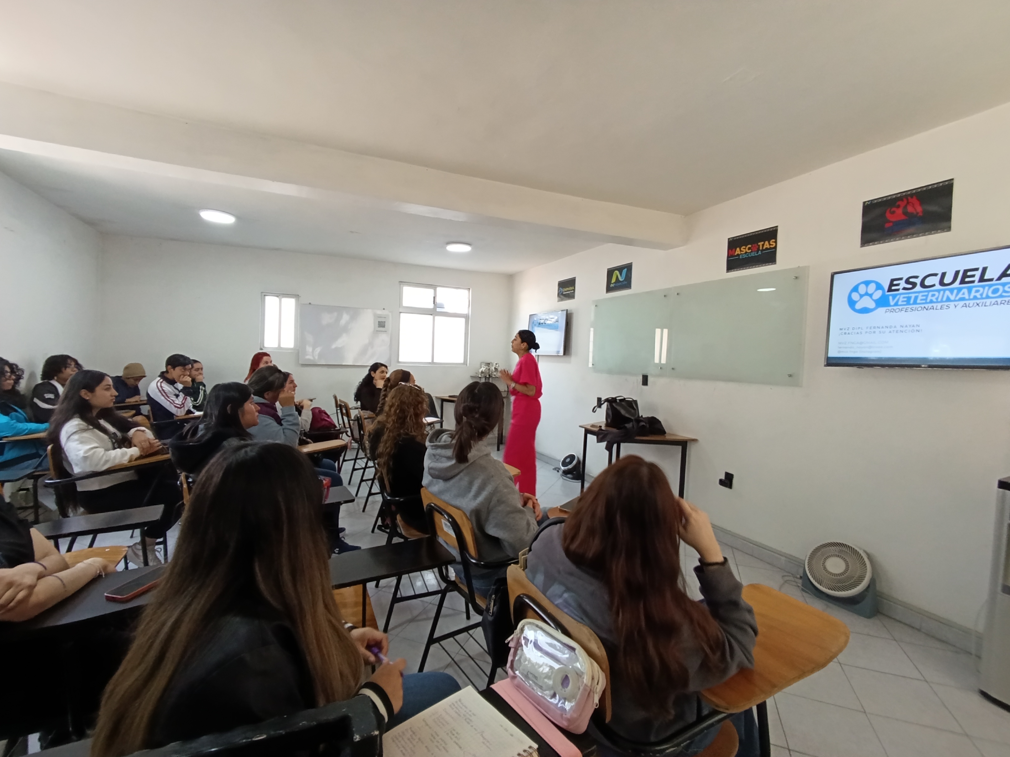 Clases teóricas AVET