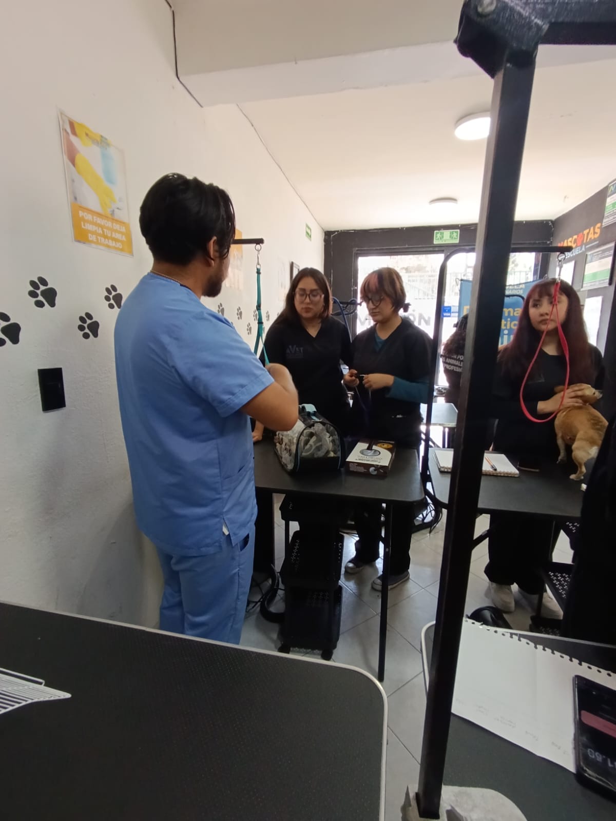 Clase práctica AVET