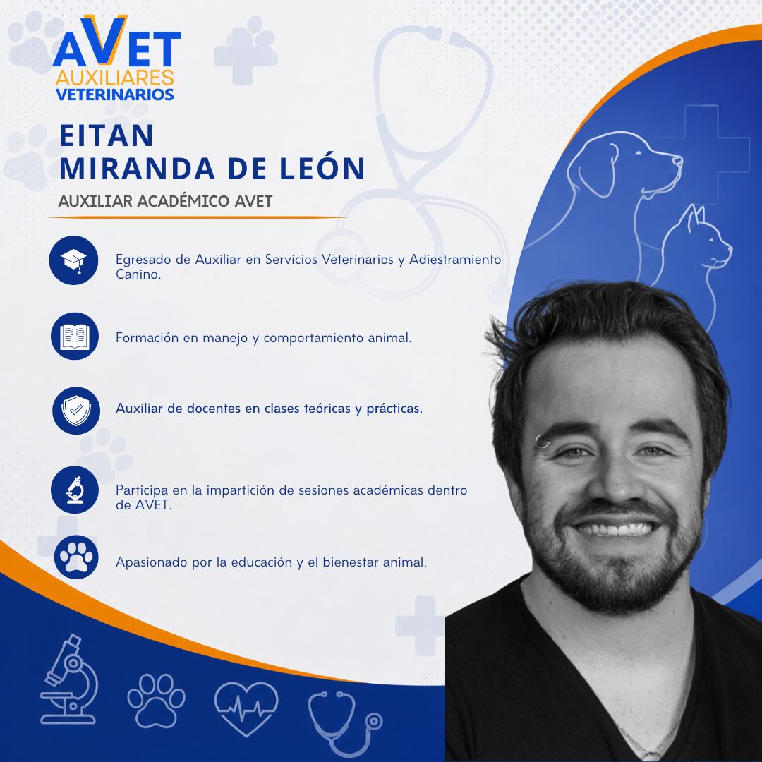 Eitan Miranda de León